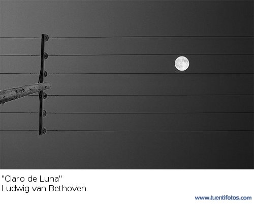 Increibles de "Claro de Luna" Beethoven