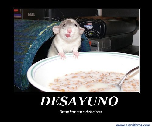 Animales de Desayuno Del Ratón