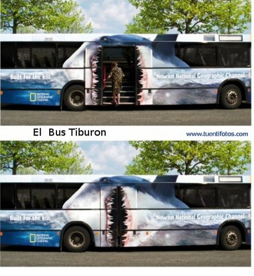 Ilusiones de El Bus Tiburon