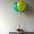 Miniatura de Gato Volando Con Tres Globos