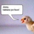 Miniatura de Jimmy, Hablame Por Favor