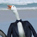 Miniatura de Oca Disfrazada De Pingüino