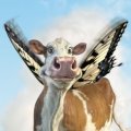 Miniatura de Vaca Voladora